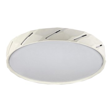 Rabalux - LED plafonsko svetlo LED/25W/230V 3000K belo, prečnik 39 cm