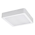 Rabalux - LED plafonsko svetlo LED/7W/230V 3000K 12x12 cm belo
