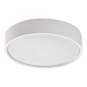 Rabalux - LED plafonsko svetlo sa senzorom LED/19W/230V, IP44, 4000K, fi 28,5 cm, belo