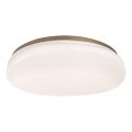 Rabalux - LED plafonsko svetlo za kupatilo LED/24W/230V IP44, prečnik 41 cm