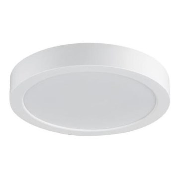 Rabalux - LED plafonsko svetlo za kupatilo LED/24W/230V prečnik 22 cm IP44 belo