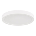 Rabalux - LED plafonsko svetlo za kupatilo LED/30W/230V Ø 30 cm IP44 belo