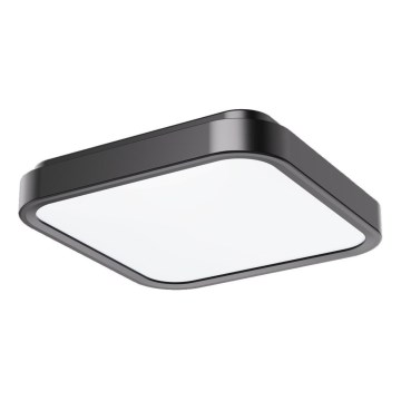 Rabalux - LED plafonsko svetlo za kupatilo LED/48W/230V IP44 4000K 42x42 cm crno