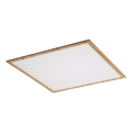 Rabalux - LED površinski panel LED/40W/230V 4000K