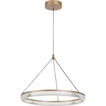 Rabalux - LED prigušiva luster na sajli LED/24W/230V 3000-6500K + daljinsko upravljanje