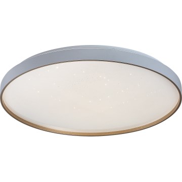 Rabalux - LED prigušiva plafonska lampa LED/60W/230V 3000-6500K Ø 58 cm + daljinski upravljač