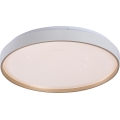 Rabalux - LED prigušiva plafonska svetiljka LED/34W/230V 3000-6500K prečnika 38 cm + daljinski upravljač