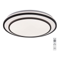 Rabalux - LED prigušiva plafonska svetiljka LED/40W/230V 3000-6500K crna, prečnik 49 cm + daljinski upravljač