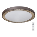 Rabalux - LED prigušiva plafonska svetiljka LED/40W/230V + daljinski upravljač 3000-6000K, prečnik 50 cm
