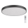 Rabalux - LED prigušiva stropna svetiljka LED/60W/230V 60 cm + sa daljinskim upravljačem pr. 60 cm