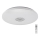 Rabalux - LED RGB prigušiva stropno svetlo LED/40W/230V 3000-6500K Wi-Fi Tuya prečnik 60 cm + daljinski upravljač
