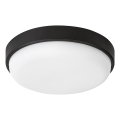 Rabalux - LED spoljašnje plafonsko svetlo LED/14W/230V IP54 crno