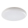 Rabalux - LED spoljašnje plafonsko svetlo LED/24W/230V IP64
