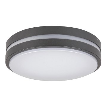 Rabalux - LED spoljašnje zidno svetlo HAMBURG LED/10W/230V IP44