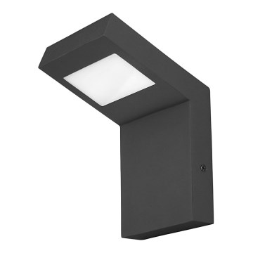 Rabalux - LED spoljašnje zidno svetlo LED/9W/230V IP44