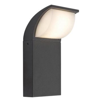 Rabalux - LED spoljašnje zidno svetlo LED/9W/230V IP65