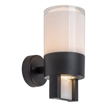 Rabalux - LED spoljno zidno svetlo LED/12W/230V IP44