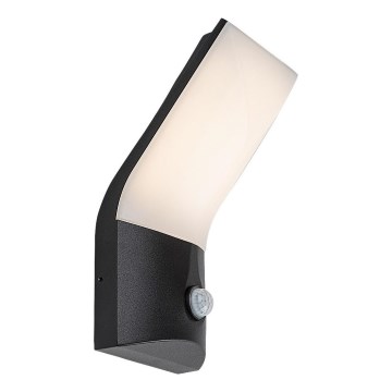 Rabalux - LED spoljno zidno svetlo sa senzorom LED/10W/230V IP54
