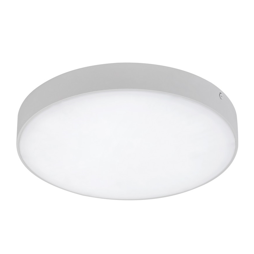 Rabalux - LED plafonsko svetlo LED/24W/230V 2800-6000K IP44 belo, prečnik 30 cm