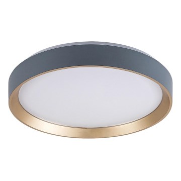 Rabalux - LED stropna svetiljka LED/25W/230V 3000K, prečnik 38 cm
