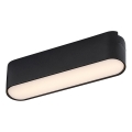 Rabalux - LED stropna svetiljka za 1-fazni šinski sistem LED/6W/24V 3000K 11,5 cm crna