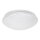 Rabalux - LED stropno svetlo LED/12W/230V prečnik 26 cm
