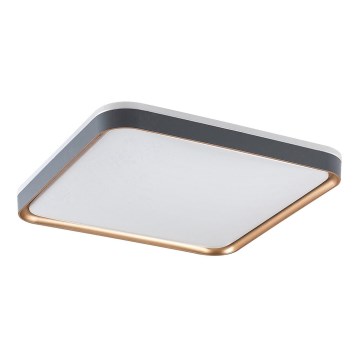 Rabalux - LED stropno svetlo LED/26W/230V 3000K 39,5x39,5 cm