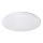 Rabalux - LED stropno svetlo LED/32W/230V prečnika 38 cm