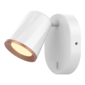Rabalux - LED zidno reflektorsko svetlo LED/6W/230V