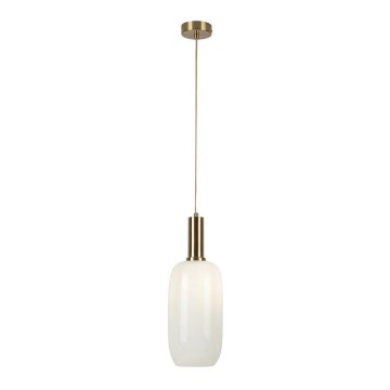 Rabalux - Luster na sajli 1xE27/60W/230V