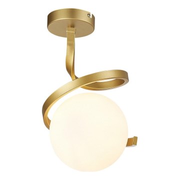 Rabalux - Plafonski luster 1xE27/20W/230V