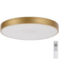 Rabalux - prigušiva LED stropna svetiljka LED/60W/230V 3000-6000K + daljinski upravljač, prečnik 60 cm