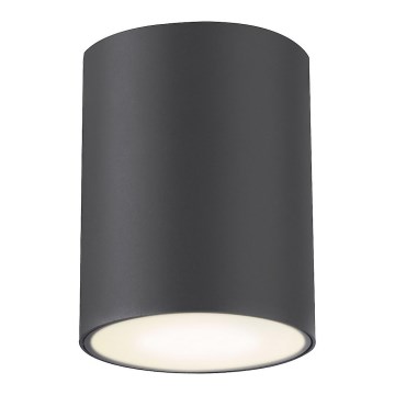 Rabalux - Spoljašnja reflektorska svetiljka 1xGU10/35W/230V okrugla IP54