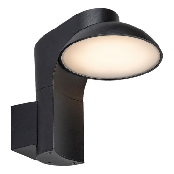 Rabalux - spoljno zidno LED svetlo 12W/230V IP54
