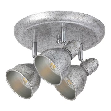 Rabalux - Spot svetiljka THELMA 3xE14/40W/230V