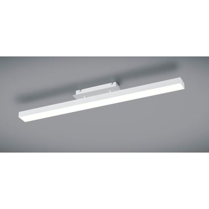 Reality - LED prigušiva stropno svetlo AGANO LED/18W/230V belo
