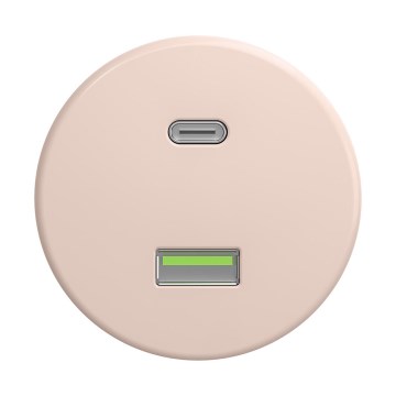 Reblig - Retro USB utičnica A+C bez okvira staroružičasta