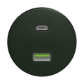 Reblig - Retro USB utičnica A+C bez okvira zelena