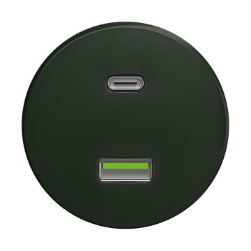 Reblig - Retro USB utičnica A+C bez okvira zelena