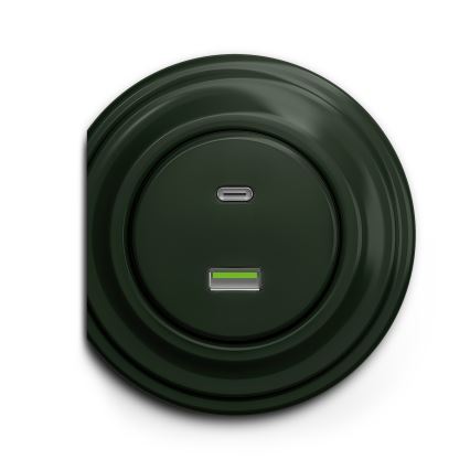 Reblig - Retro USB utičnica A+C bez okvira zelena