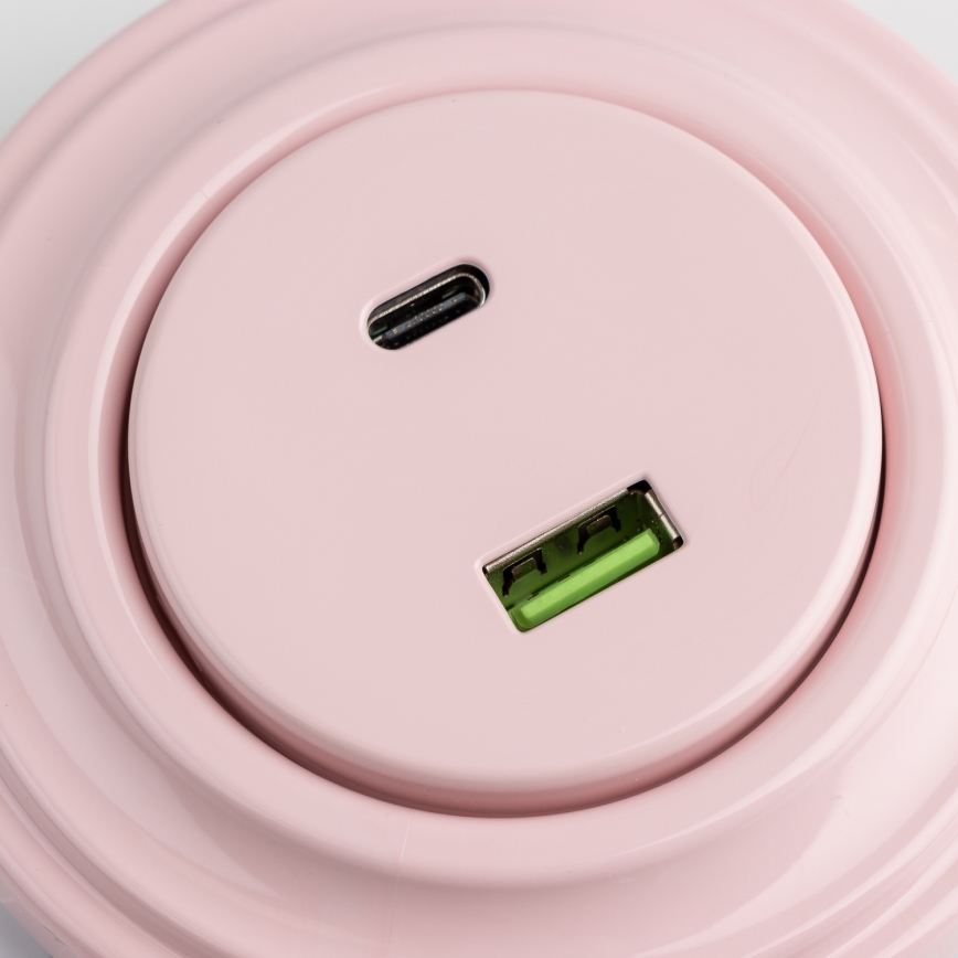 Reblig - Retro USB utičnica A+C sa ramom, staroružičasta