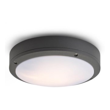 RED - Design Rendl - R10382 - Spoljašnje plafonsko svetlo SONNY 2xE27/18W/230V IP54