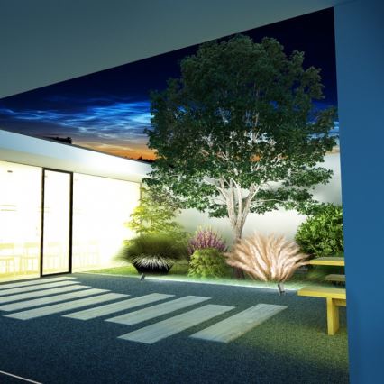 RED - Design Rendl - R11754 - LED Spoljno svetilo ROSS LED/9W/230V IP65