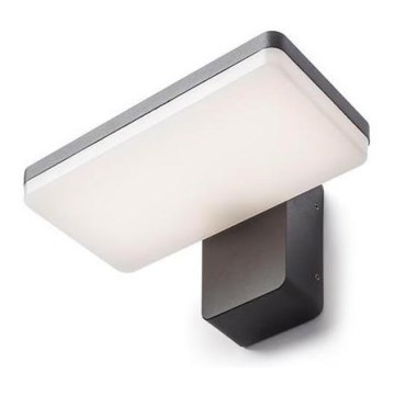 RED - Design Rendl - R11947- LED Spoljašnje zidno svetlo RINA LED/12W/230V IP65