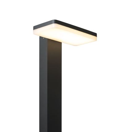RED - Design Rendl - R12515 - LED spoljašnja svetiljka RINA LED/12W/230V IP44