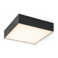 RED - Design Rendl - R13488 - LED plafonsko svetlo LARISA LED/20W/230V crna