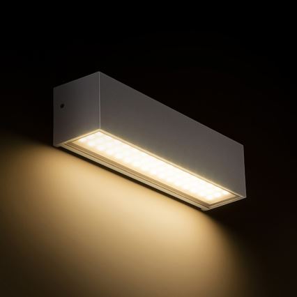 RED - Design Rendl - R13527 - LED spoljašnje zidno svetlo CAMARGUE LED/6W/230V IP65