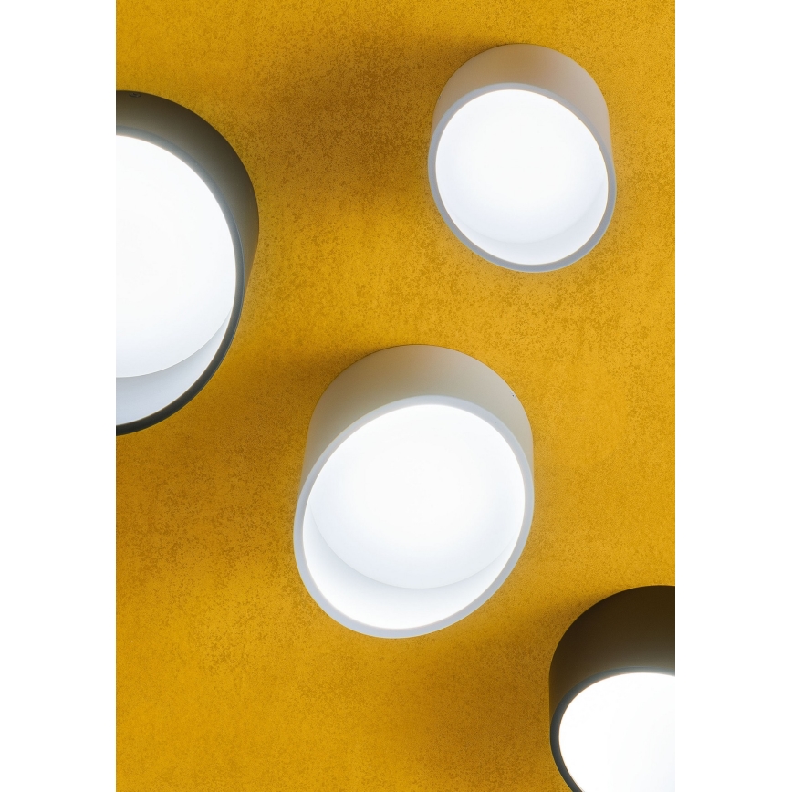 Redo 01-1628 - LED spot svetiljka UTO LED/12W/230V prečnik 12 cm crna