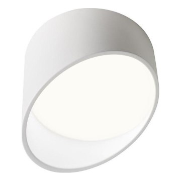 Redo 01-1629 - LED spot svetiljka UTO LED/18W/230V prečnika 14 cm bela
