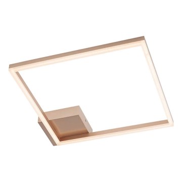 Redo 01-1639 - LED prigušiva stropna svetiljka KLEE LED/30W/230V 45x45 cm zlatna